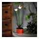 Szolár színes virág - 8 x 8 x 32 cm - 10 melegfehér LED - lila
