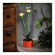 Szolár színes virág - 8 x 8 x 32 cm - 10 melegfehér LED - piros