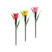 LED-es szolár tulipánlámpa - sárga / piros / rózsaszín - 31 cm - 12 db / kínáló