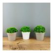 Műnövény dekoráció - cserepes - 12 x 13 cm