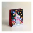 Ajándéktasak - 10 színes LED, papír - 265 x 127 x 330 mm - 4 féle / csomag - 12 db / csomag