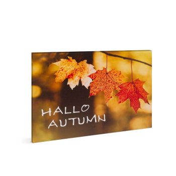  LED-es fali hangulatkép - "Hello ősz" -  2 x AA, 40 x 30 cm