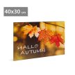 LED-es fali hangulatkép - "Hello ősz" -  2 x AA, 40 x 30 cm