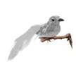 Karácsonyi dísz - csipeszes - glitteres madár - ezüst - 2 db / csomag