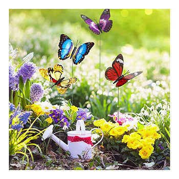 Dekoráció, szolár