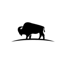 Bison